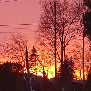 Meet your Posher, Shelina